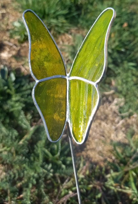 Jeune Citron Papillon Jaune
