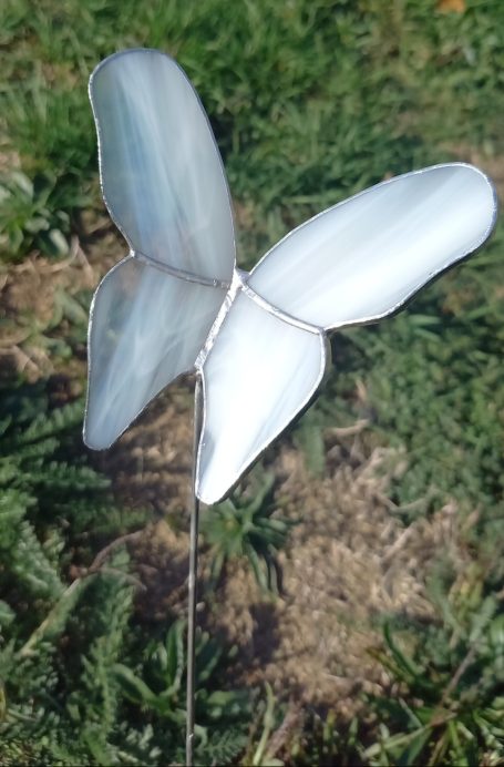 Blanc Nuage Papillon Blanc