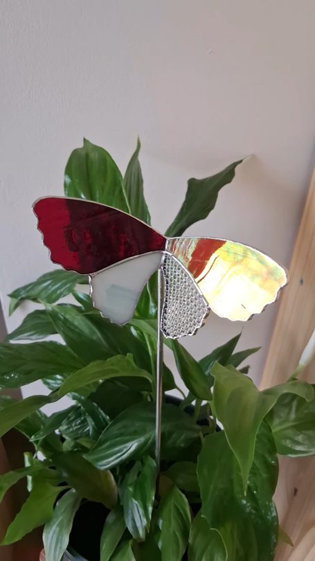 Papillon Rouge
