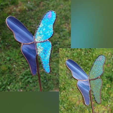 Violet Duo Papillon Duo Violet/Transparent